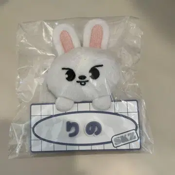 Stray Kids 네임 백 참 [Leebit]