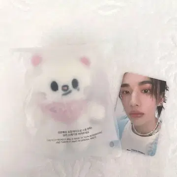 Straykids 펜미 10cm 봉제 인형 지니 레트 트레이딩 카드 포함