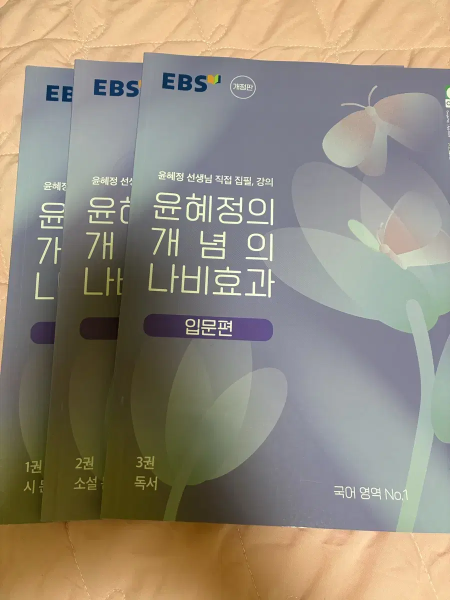 윤혜정 개념의 나비효과