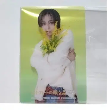 피치카토가 잠든 숲 보이스 코믹 라이브 아오이 쇼타 혜택