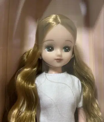 리카짱 캐슬 온순한 리카짱