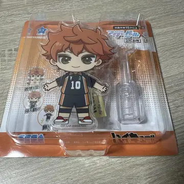세가 페이브 (SEGA FAVE) 액트 인형 하이큐!! 히나타 쇼요