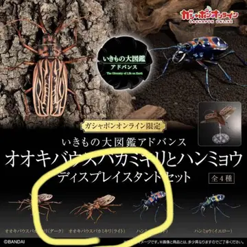 생물대도감 어드밴스 오오키바우스바카미키리 라이트 온라인판