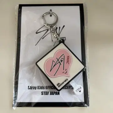 stray kids 보이스 키링 [아이엔]