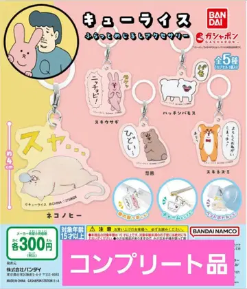 가샤폰 큐 라이스 후라토 메지루시 액세서리