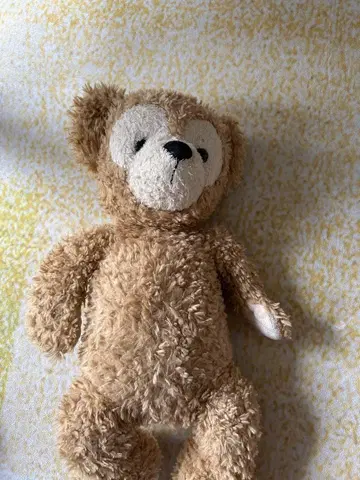 브라운 곰 봉제 인형