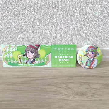 청춘 돼지 새끼 파랑 돼지 티켓풍 카드 캔뱃지 코가 토모에 타워 레코드