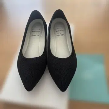 stepping 베이직 포인트 펌프스