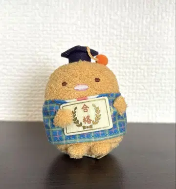 스미코구라시 검정 시험 돈카츠 테노리 봉제 인형