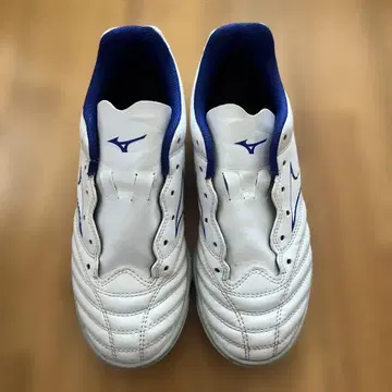 Mizuno Monarcida Neo 화이트/블루 22cm