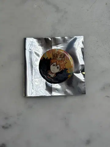 하이큐 fan park 팬파크 하이드리 캔뱃지 히나타 쇼요 e