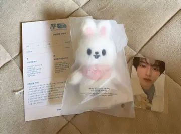 straykids 5clock 10cm 인형 Lee 비트 리노