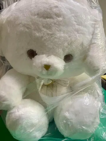 순백의 친구 비구 봉제 인형 TwinkleBear 개 dog 미개봉품