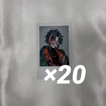 니지산지 Standard Goods vol.4 폴라로이드 카이세이
