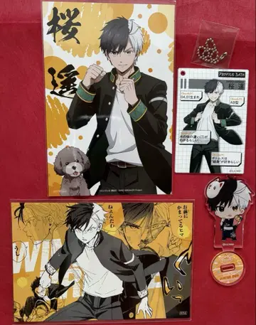 WIND.BREAKER 윈브레이커 사쿠라 요코 벚꽃 묶음 판매