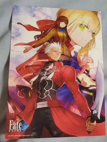 fate 엑스트라 특전 카드