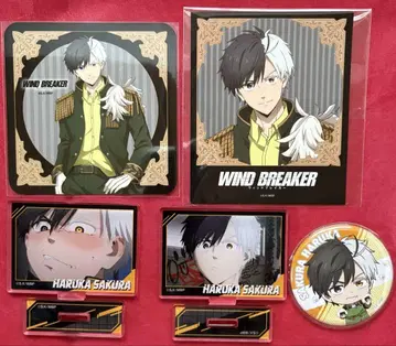 WIND.BREAKER 윈브레이커 사쿠라 요코 벚꽃 묶음 판매