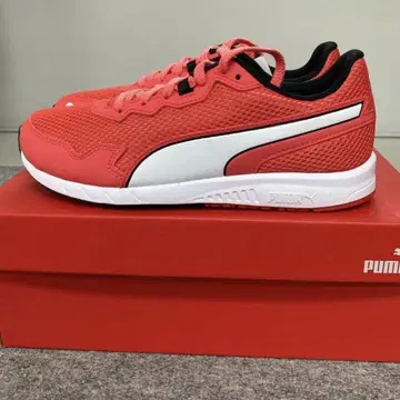 푸마 여성용 스니커즈 러닝 조깅화 신상품 23.5 PUMA