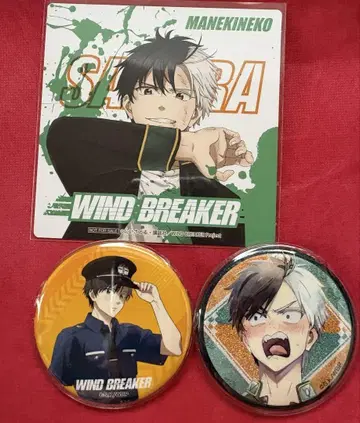 WIND.BREAKER 윈브레이커 사쿠라 하야 벚꽃 묶음 판매