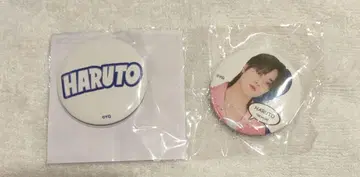 HARUTO 배치