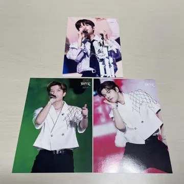 Stray Kids 승민 라이브 사진 MANIAC