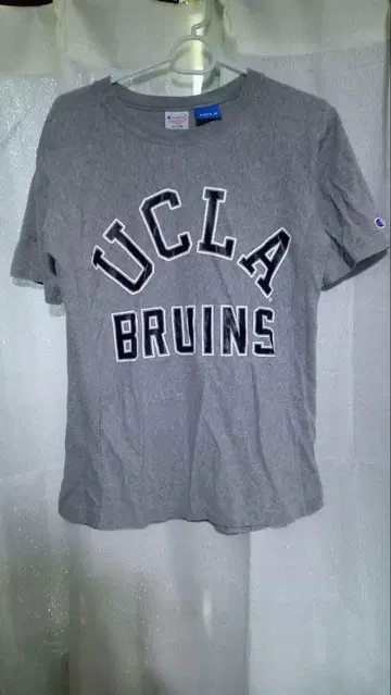 챔피온 리버스 위브 UCLA 티셔츠