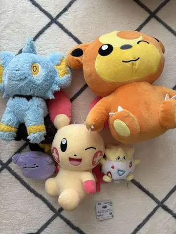 포켓몬 봉제 인형 세트
