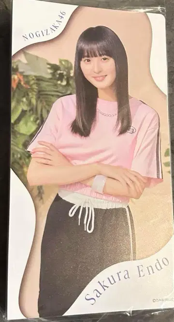 노기자카46 엔도 사쿠라 개별 사진 앨범 2024