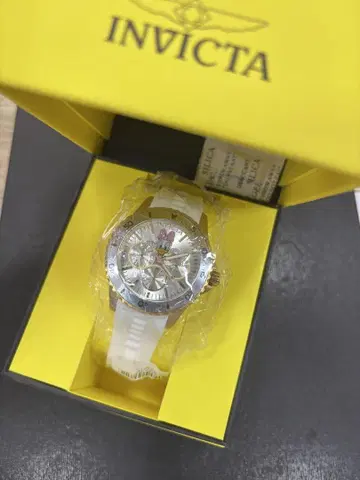 INVINCIBLE IN DETAIL INVICTA 데이지 덕 한정판