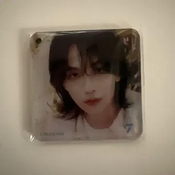 세븐틴 초코 정한
