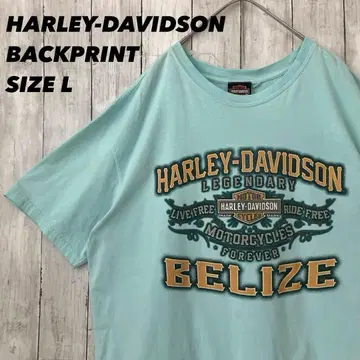 HARLEY-DAVIDSON 할리데이비슨 백 프린트 티셔츠 L 구제 의류