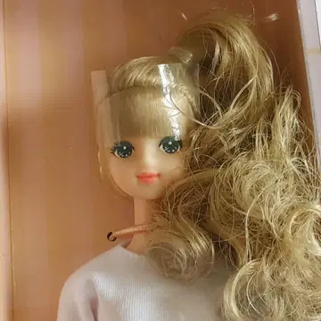 리카짱 캐슬 미라이