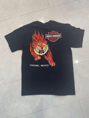 타이거 파이어 Harley Davidson 할리데이비슨