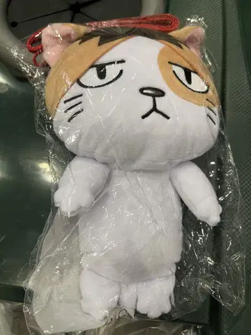 하이큐 팬 파크 켄마네코 연마 고양이
