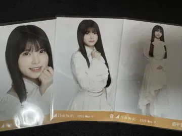 모리히라 레이코 노기자카46 빅 보타이 블라우스 브로마이드 3종 컴프