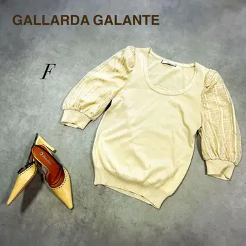 GALLARDA GALANTE 쉬폰 퍼프 슬리브 코튼 니트 FREE