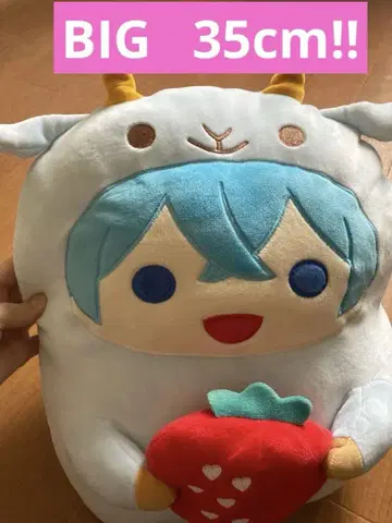 스토푸리 코론군 아니마루 봉제 인형