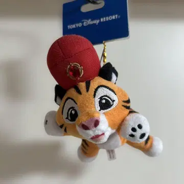디즈니 리조트 찬두