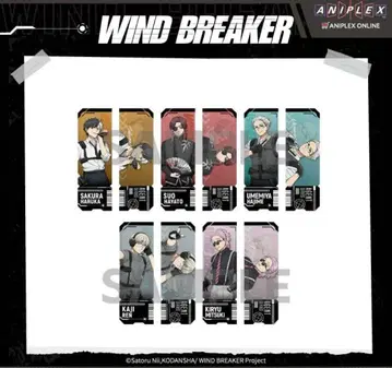 (총 5종) WIND BREAKER 홀로케트 중국 한정판 홀로그램 티켓