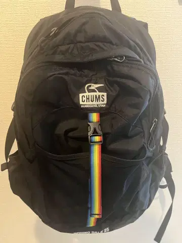 CHUMS 블랙 백팩 스프링데일 25L 레인보우