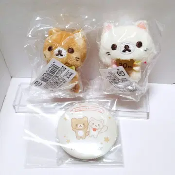 고양이 세트 성 곰식