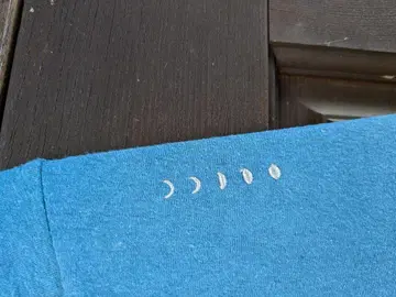 리틀 이글 V넥 크롭 티셔츠