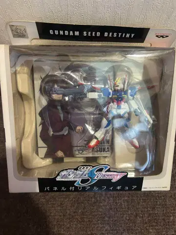 GUNDAM SEED DESTINY 신 아스카 피규어