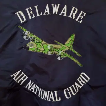 DELAWARE AIR NATIONAL GUARD 플라이트 자켓 블랙