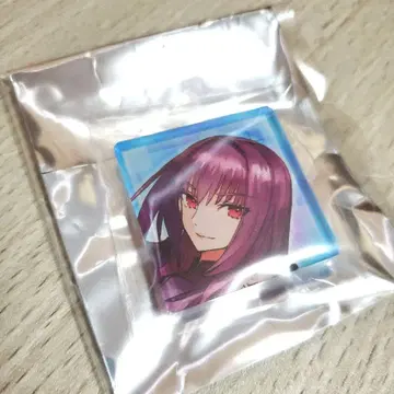 fate 스카사하 스승 배지
