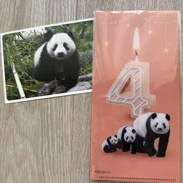 마쓰자카야 우에노 티켓 홀더 레이레이