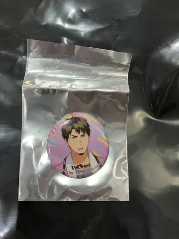 하이큐 팬 파크 캔뱃지 하이도리 우시지마 와카토시