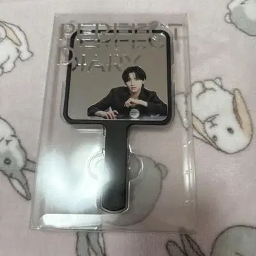 퍼펙트 다이어리 미치에다 슌스케 거울