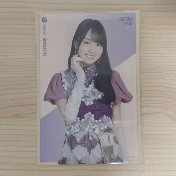C상 엽서 카키 하야카