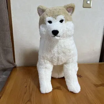 마사키치, 아키타견